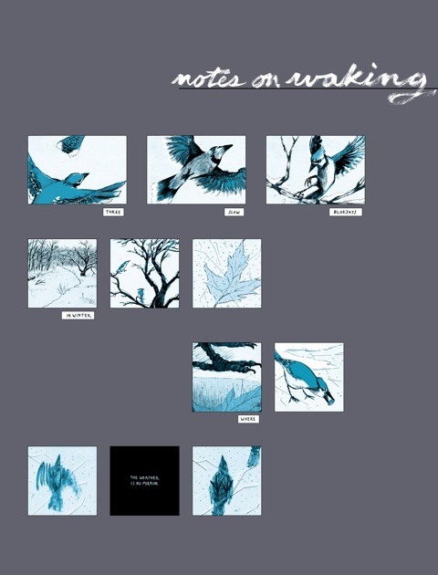 notes-on-waking-final1